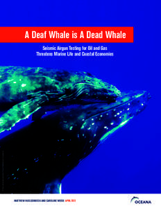 Baleen whales / Petroleum / Sonar / Balaenidae / Fin whale / Whale / Seismic source / Oceana / Underwater acoustics / Megafauna / Zoology / Biology