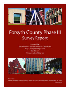 Microsoft Word - ForsythCountyPhaseIIIReportFinal.doc