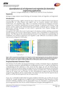 Quantification of cell alignment and migration for biomedical engineering applications Advisors: Georgios Stefopoulos, Dr. Aldo Ferrari and Prof. Dimos Poulikakos Keywords Biological image analysis, wound healing, cell m