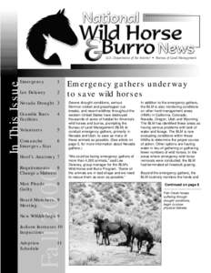 Equus / Bureau of Land Management / Burro / Mustang horse / Horse / Pryor Mountains Wild Horse Range / Wild and Free-Roaming Horses and Burros Act / Equidae / Feral horses / Agriculture
