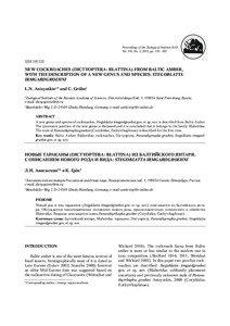 Insect anatomy / Orders of insects / Dictyoptera / Tegmen / Insect wing / Polyphagidae / Ficus / Blattellidae / Blattidae / Phyla / Protostome / Cockroaches