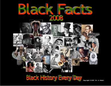 Black Studies Calendar 2008