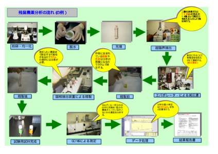 残留農薬分析の流れ（の例）  粉砕・均一化 二酸化炭素ガスに 15Mpa（＝大気圧の