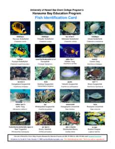 Microsoft PowerPoint - Fish ID Card