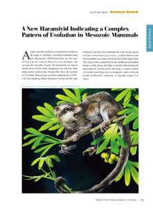 Biology / Haramiyida / Evolution of mammals / Tooth / Mammal / Multituberculata / Dentition / Ferugliotherium / Ferugliotheriidae / Zoology / Mammaliaformes / Phanerozoic