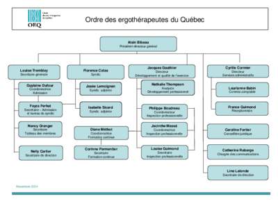 Ordre des ergothérapeutes du Québec  Alain Bibeau Président-directeur général  Louise Tremblay