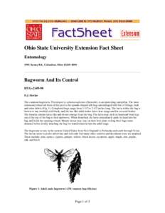 Ohio State University Extension Fact Sheet Entomology 1991 Kenny Rd., Columbus, Ohio[removed]Bagworm And Its Control HYG[removed]