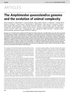 Vol 466 | 5 August 2010 | doi:nature09201  ARTICLES The Amphimedon queenslandica genome and the evolution of animal complexity Mansi Srivastava1{, Oleg Simakov2{, Jarrod Chapman3, Bryony Fahey4, Marie E. A. Gauth
