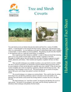 Tree and shrub coverts are thickets that provide shelter and food for a variety of wildlife species. A well-designed covert will provide food sources, nesting sites, and protection from snow, ice, and predators. A covert