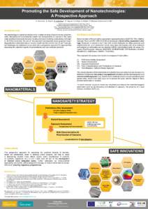 Promoting the Safe Development of Nanotechnologies: A Prospective Approach C. Schimpel1, S. Resch1, N. Ladenhauf1, C. Vaquero2, A. Klug3, S. Köstler4, P. Maclean Obene5 and A. Falk1* BioNanoNet Forschungsgesellschaft mb