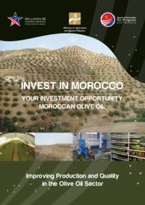 INVEST IN MOROCCO YOUR INVESTMENT OPPORTUNITY MOROCCAN OLIVE OIL Improving Production and Quality in the Olive Oil Sector