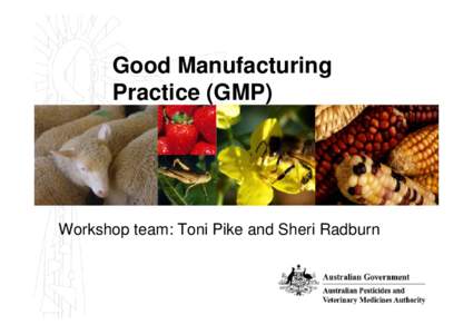 Good Manufacturing Practice (GMP) Workshop team: Toni Pike and Sheri Radburn  The GMP Section