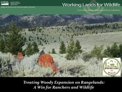 Woody expansion on western rangelands: Prairie grouse as focal species for strategic ecosystem restoration