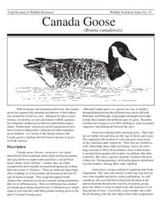 Utah Division of Wildlife Resources  Wildlife Notebook Series No. 15 Canada Goose