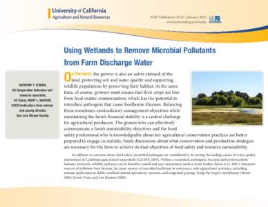 ANR Publication 8512 | January 2015 www.anrcatalog.ucanr.edu Using Wetlands to Remove Microbial Pollutants from Farm Discharge Water ANTHONY T. O’GEEN,