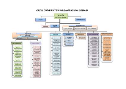 ORDU ÜNİVERSİTESİ ORGANİZASYON ŞEMASI REKTÖR Prof.Dr.Tarık YARILGAÇ YÖNETİM KURULU  SENATO