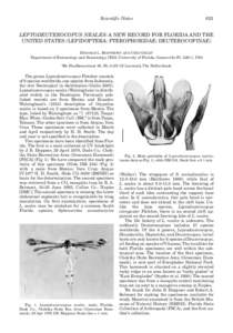 Scientific Notes  621 LEPTODEUTEROCOPUS NEALES: A NEW RECORD FOR FLORIDA AND THE UNITED STATES (LEPIDOPTERA: PTEROPHORIDAE: DEUTEROCOPINAE)