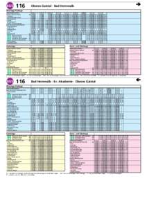 BUS  116 Oberes Gaistal - Bad Herrenalb