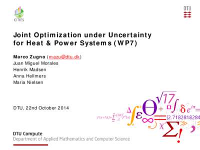 Joint Optimization under Uncertainty  of Heat & Power Systems (WP7)