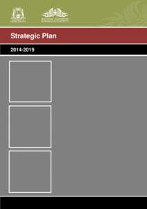 BGPA Strategic Plan[removed]