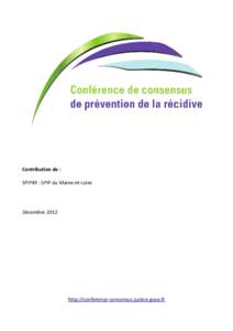 Contribution de : SPIP49 : SPIP du Maine-et-Loire Décembrehttp://conference-consensus.justice.gouv.fr