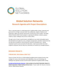 Global Solution Networks Research Agenda with Project Descriptions There is a growing urgency to rethink approaches to global problem solving, cooperation and governance for our hyper-connected world. New collaborative, 