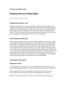 Microsoft Word - DampingOffSeedlingBlight-CanolaMustard.doc