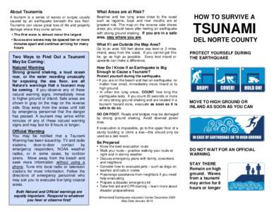 About Tsunamis  What Areas are at Risk? A tsunami is a series of waves or surges usually caused by an earthquake beneath the sea floor.