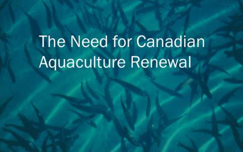 Fish farming / Geoduck / World fish production / Salmon / Offshore aquaculture / Aquaculture in Canada / Fish / Aquaculture / Seafood