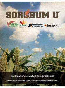 Crops / Cereals / Agricultural soil science / Sorghum / Energy crops / Maize / Cover crop / Crop rotation / Glyphosate / Agriculture / Food and drink / Tropical agriculture