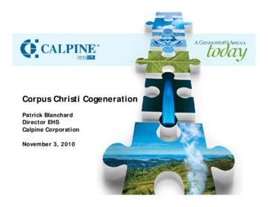 Corpus Christi Cogeneration