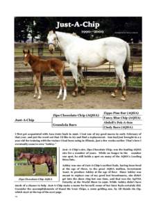 American Quarter Horse Association / Appaloosa / Equus / Western pleasure / Hunt seat / Country Classic / Rugged Lark / Breeding / Recreation / Zippo Pine Bar