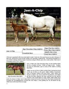 JustJust-A-Chip 1990—2009 Zips Chocolate Chip (AQHA) Just-A-Chip Grandola Bars