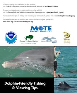 To report feeding or harassment of wild dolphins, call the NOAA Fisheries Southeast Enforcement Division at: [removed]To report an injured or entangled dolphin, or other wildlife, call the Florida Fish and Wildlif