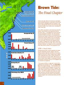 Suffolk County /  New York / Geodesy / Aquatic ecology / Biological oceanography / Algae / Algal bloom / Estuary / Tide / Peconic Bay / Water / Fisheries / Geography of New York