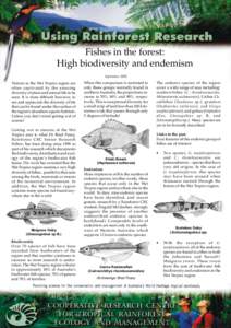 Fish / Schismatogobius / Tropics / Rainforest / Environment / Biology / Biodiversity / Environmental science