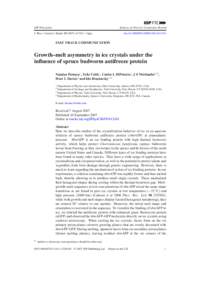 Growth--melt asymmetry in ice crystals under the influence of spruce budworm antifreeze protein