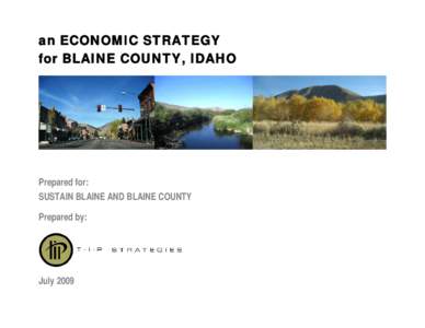 Microsoft Word - Blaine Economic Strategy FINAL[removed]doc