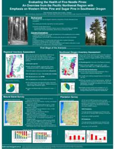 Evaluating the Health of Five Needle Pines: An Overview from the Pacific Northwest Region with Emphasis on Western White Pine and Sugar Pine in Southwest Oregon