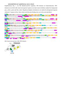 DESCRIPTION OF ADDITIONAL DATA FILES Supplementary Fig. 1. (A) The thiamin-specific regulatory THI elements in δ-proteobacteria. THIelements are in bold with conserved sequence regions in red and conserved helices marke