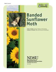 E-823 (Revised)  Banded Sunflower Moth Janet J. Knodel, Assistant Professor of Entomology