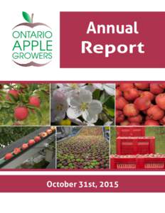Annual Report October 31st, 2015  Vision