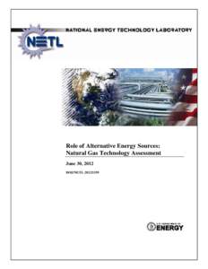 Microsoft Word - Natural Gas Technology Assessment Report.docx