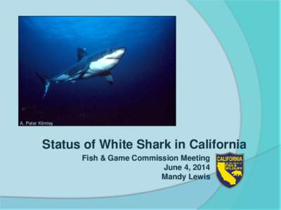A. Peter Klimley  Status of White Shark in California Fish & Game Commission Meeting June 4, 2014 Mandy Lewis