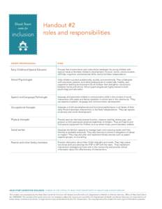 Handout #2 roles and responsibilities Expert/Professional  Role