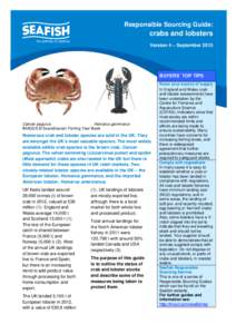 Responsible Sourcing Guide:  crabs and lobsters Version 4 – SeptemberBUYERS’ TOP TIPS