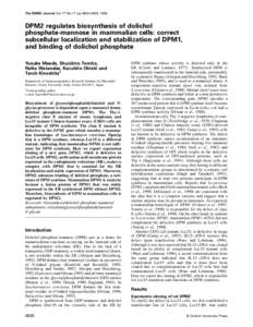 The EMBO Journal Vol.17 No.17 pp.4920–4929, 1998  DPM2 regulates biosynthesis of dolichol phosphate-mannose in mammalian cells: correct subcellular localization and stabilization of DPM1, and binding of dolichol phosph