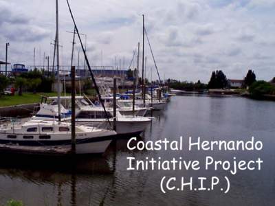 Coastal Hernando  Initiative Project (CHIP)