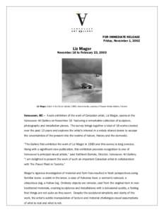 FOR IMMEDIATE RELEASE Friday, November 1, 2002 Liz Magor  November 16 to February 23, 2003