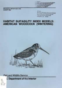 BIOLOGICAL REPORT 82{[removed]AUGUST 1985 HABITAT SUITABILITY INDEX MODELS: AMERICAN WOODCOCK (WINTERING)